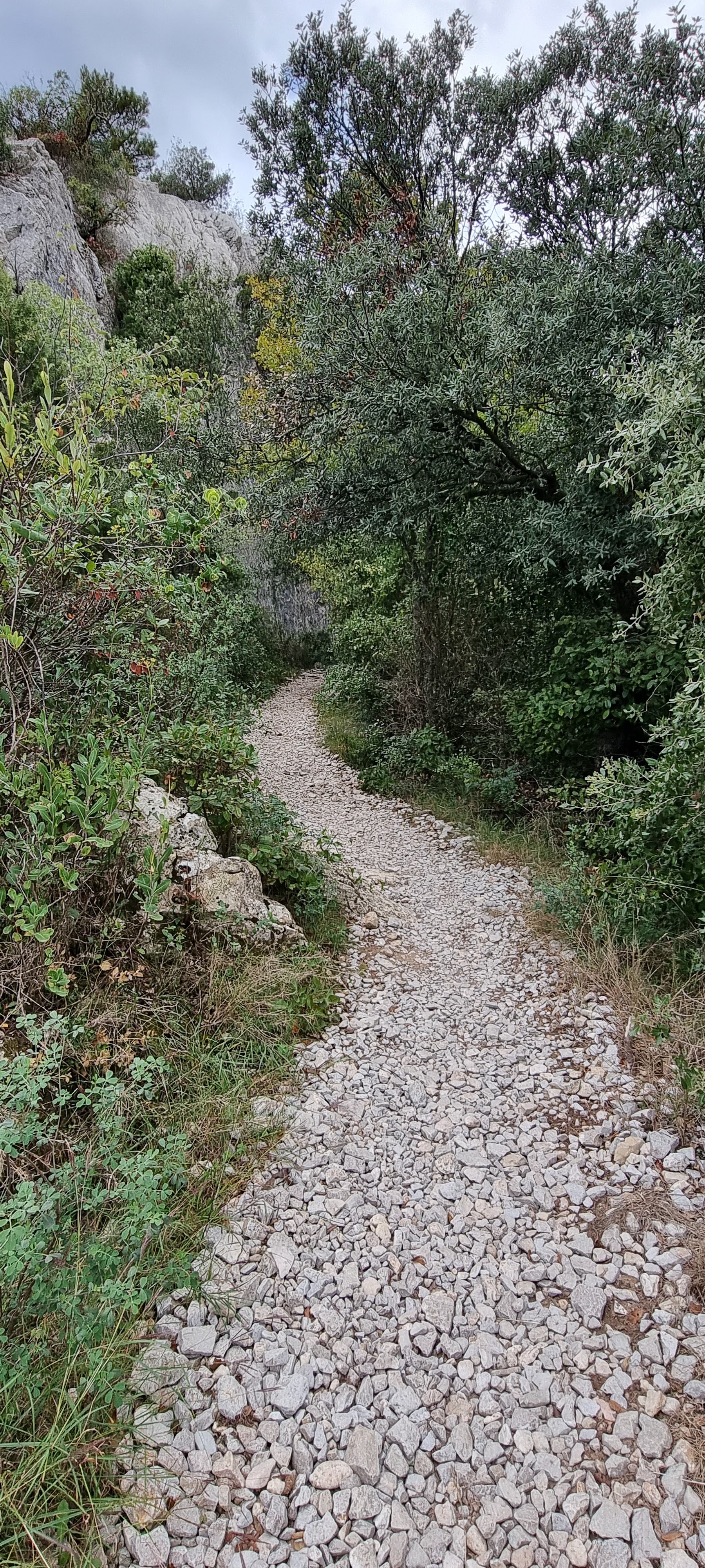 Photo n° 11 de l'avis de Rodolphe.o fait le 14/09/2022 à 09:21