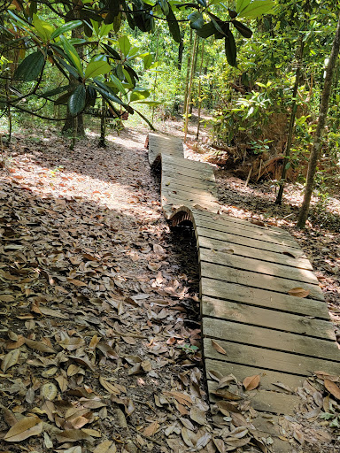 Nature Preserve «Forever Wild Trails», reviews and photos, 384 Narcisse Drive, Dothan, AL 36305, USA