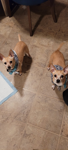 Pet Supply Store «Petco Animal Supplies», reviews and photos, 11976 Dublin Blvd, Dublin, CA 94568, USA