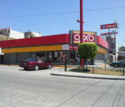 OXXO magnolias photo
