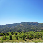 Photo n°1 de l'avis de Guilherme.a fait le 17/08/2019 à 12:28 sur le  Hotel Douro Scala à Cidadelhe