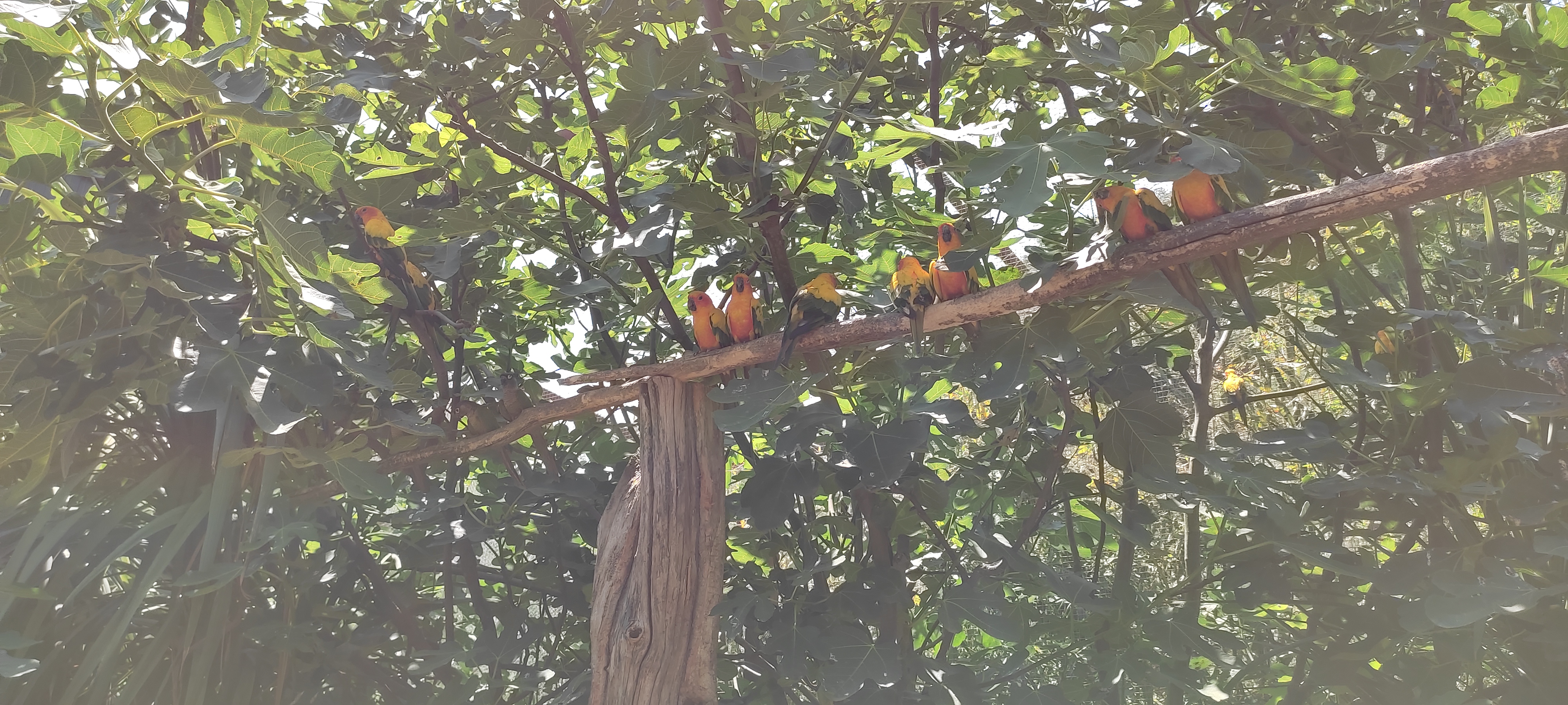 Photo n° 7 de l'avis de albane16.c fait le 16/07/2022 à 20:11