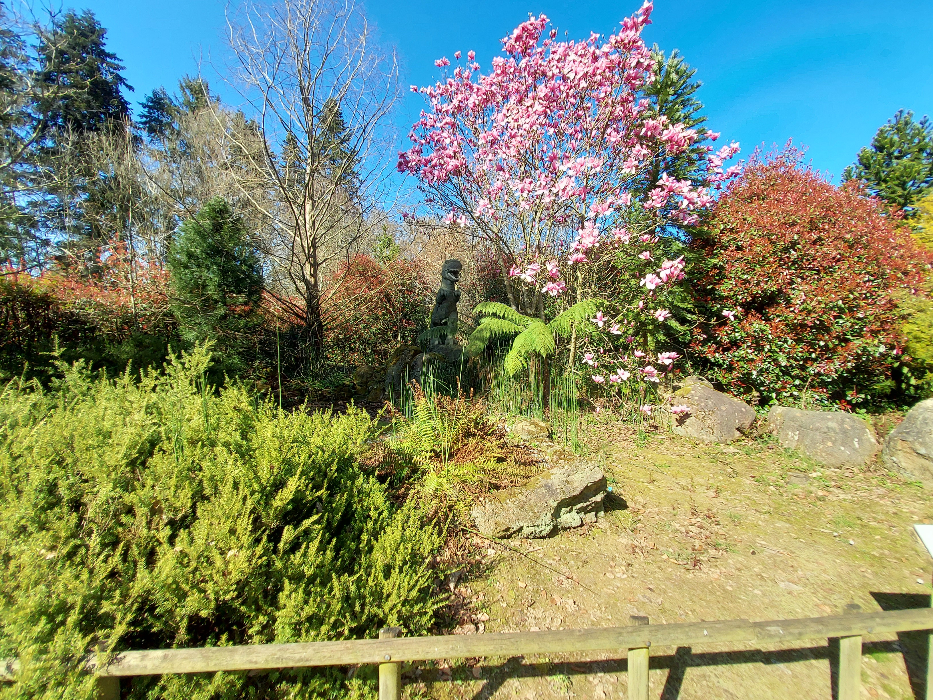 Photo n° 4 de l'avis de Wilfried.u fait le 23/03/2022 à 17:16