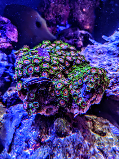 Pet Store «Fish Aquariums & Stuff», reviews and photos, 6112 W Fairview Ave, Boise, ID 83704, USA