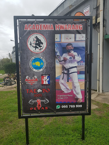 Academia Hwarang - Gimnasio