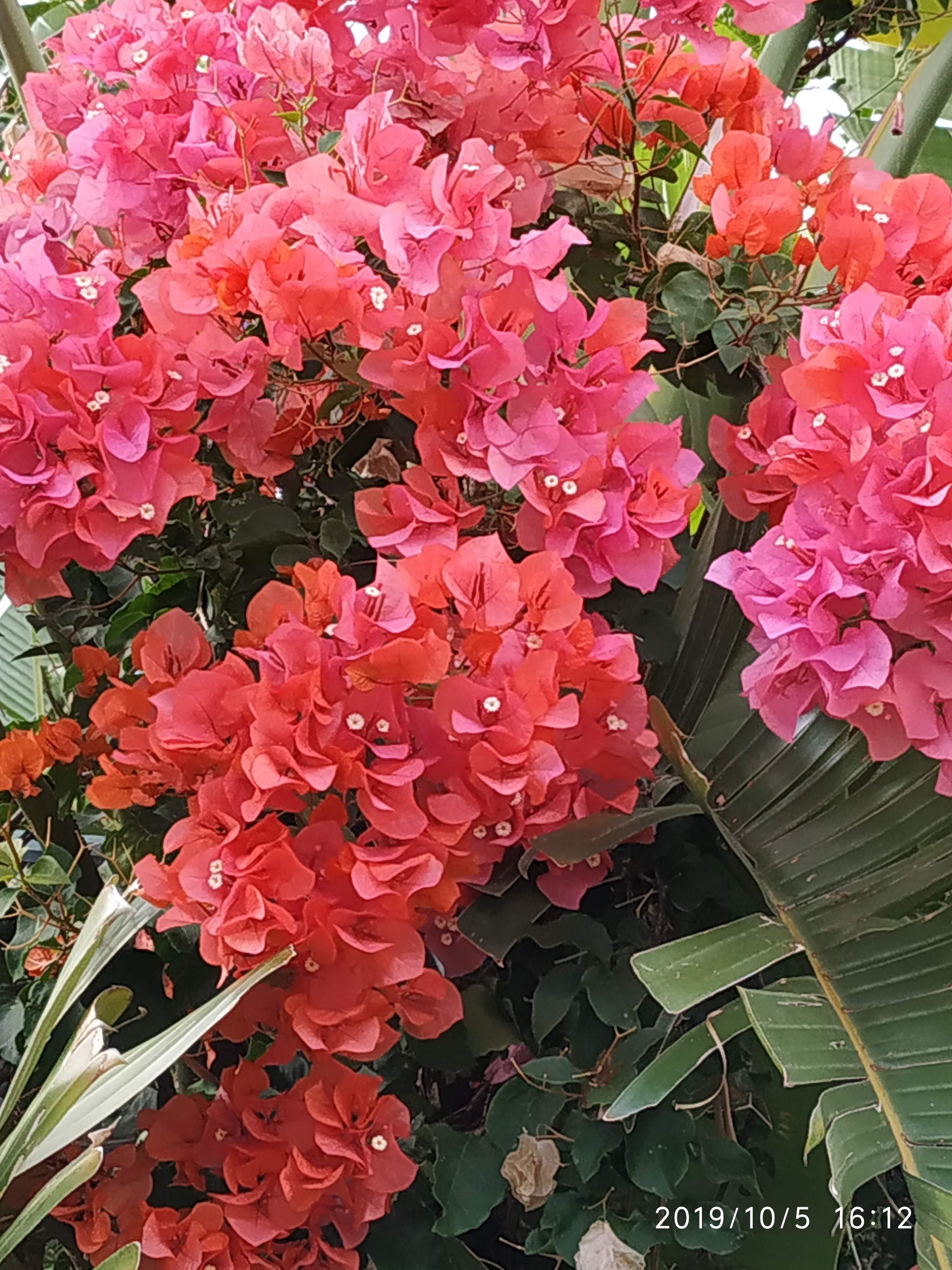 Photo n° 5 de l'avis de Marie-Christine.U fait le 27/10/2019 à 10:28