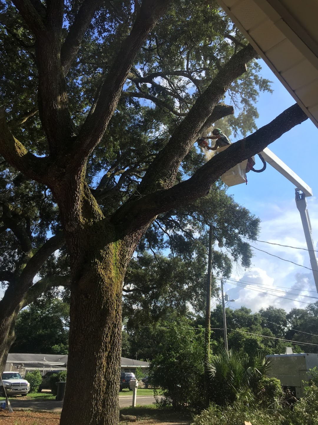 Heiden tree services, Inc