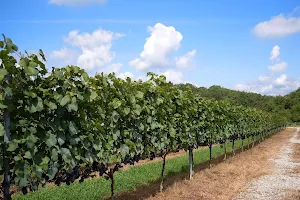 Hiroshima Miyoshi Winery image