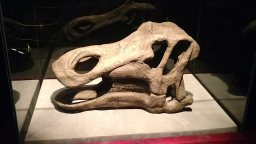 Museum «Portland Science Center», reviews and photos, 68 Commercial St, Portland, ME 04101, USA