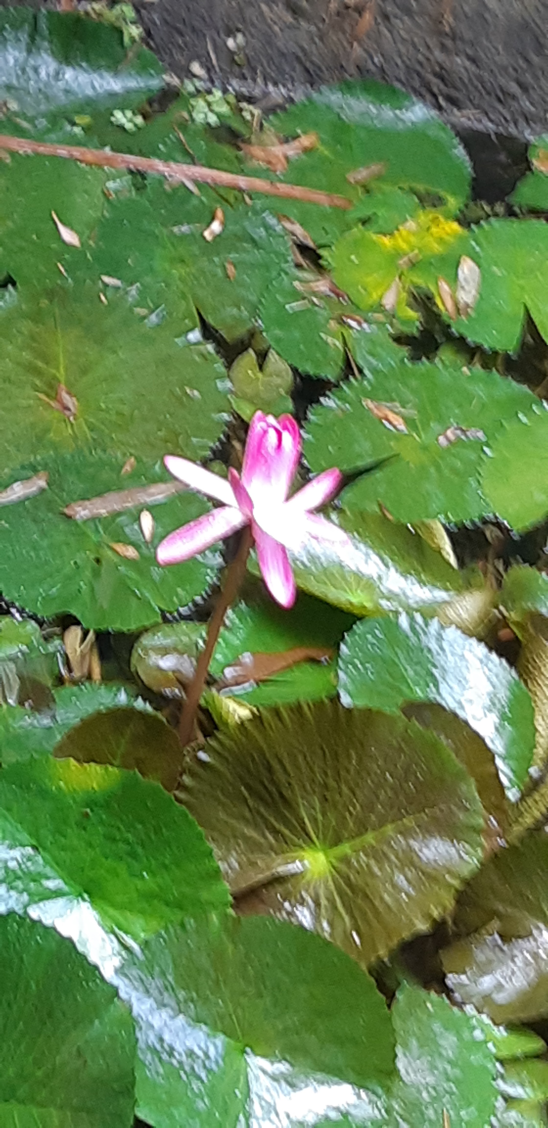 Photo n° 8 de l'avis de Francisco.o fait le 29/05/2018 à 17:26