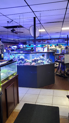 Pet Supply Store «Aquariums and Reptiles», reviews and photos, 11400 S Cleveland Ave, Fort Myers, FL 33907, USA