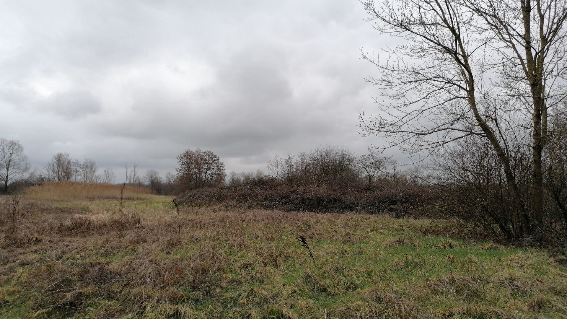 Photo n° 1 de l'avis de Nicolas.n fait le 19/02/2023 à 11:01