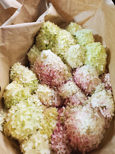 Florist «Sieck-Wright Floral Products», reviews and photos, 231 Monmouth St, Hightstown, NJ 08520, USA