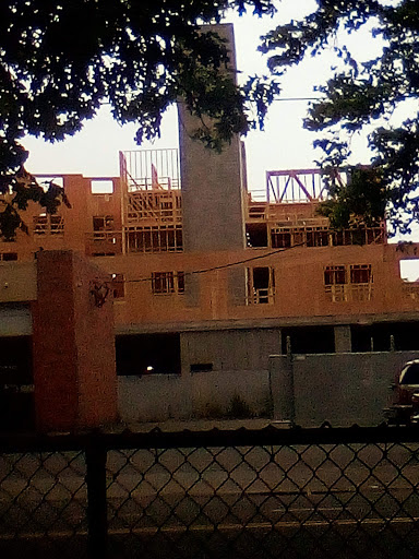 Park «Union Street Dog Park», reviews and photos, 59 Fair St, New Haven, CT 06511, USA