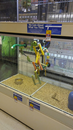 Pet Supply Store «PetSmart», reviews and photos, 934 W Street Rd, Warminster, PA 18974, USA