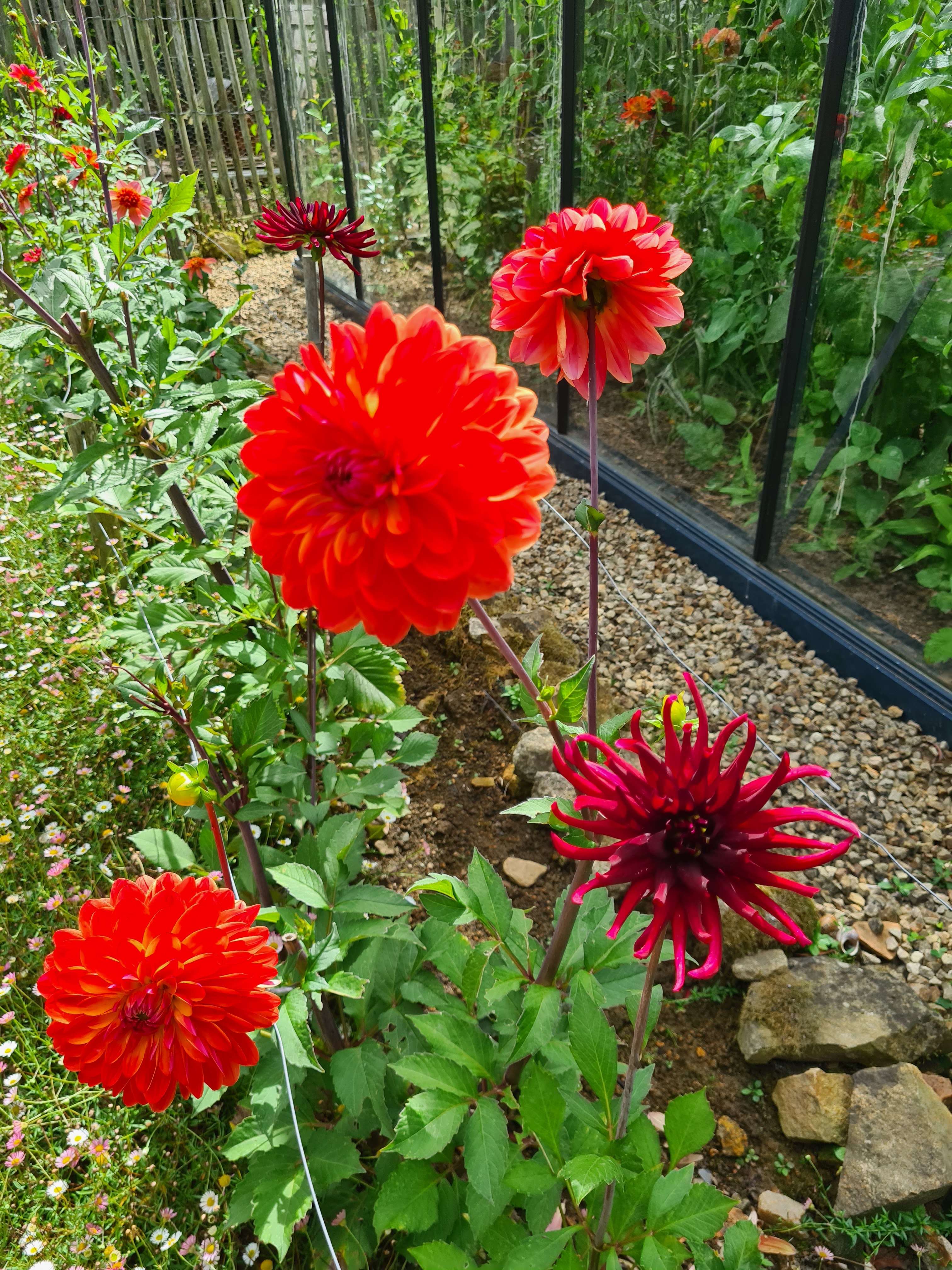 Photo n° 2 de l'avis de Marieke.o fait le 19/08/2020 à 15:52