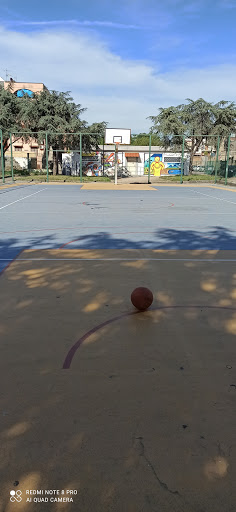 Basket Court 
