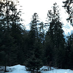 Photo n°6 de l'avis de Francesco.o fait le 17/03/2018 à 18:12 sur le  Rifugio Dosson à Andalo