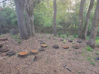 Naturescape Lawn and Landscape Care - Photo 9 - Car repair in Knoxville, TN, Knoxville