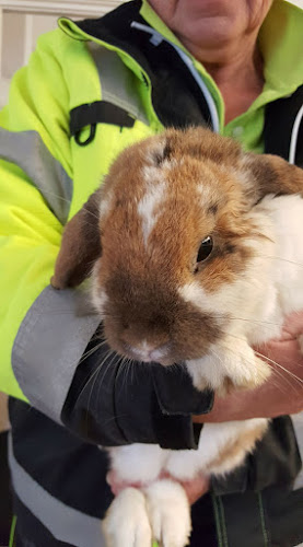 Beoordelingen van Dierenambulance Noord en Midden Drenthe in Assen - Hondentrainer