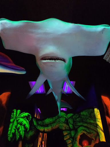 Amusement Center «Omni Fun Center», reviews and photos, 3729 Sycamore Dairy Rd, Fayetteville, NC 28303, USA