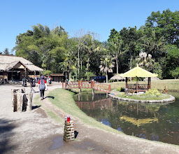 Jogja Exotarium Mini Zoo photo