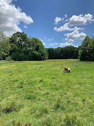 Bremweide hondenpark