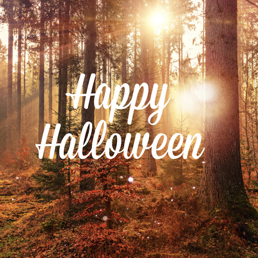 Cell Phone Store «Cellular Gallery», reviews and photos, 1608 Santa Monica Blvd, Santa Monica, CA 90404, USA