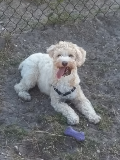 Park «Creekwood Park», reviews and photos, 7025 44th Ave E, Bradenton, FL 34205, USA