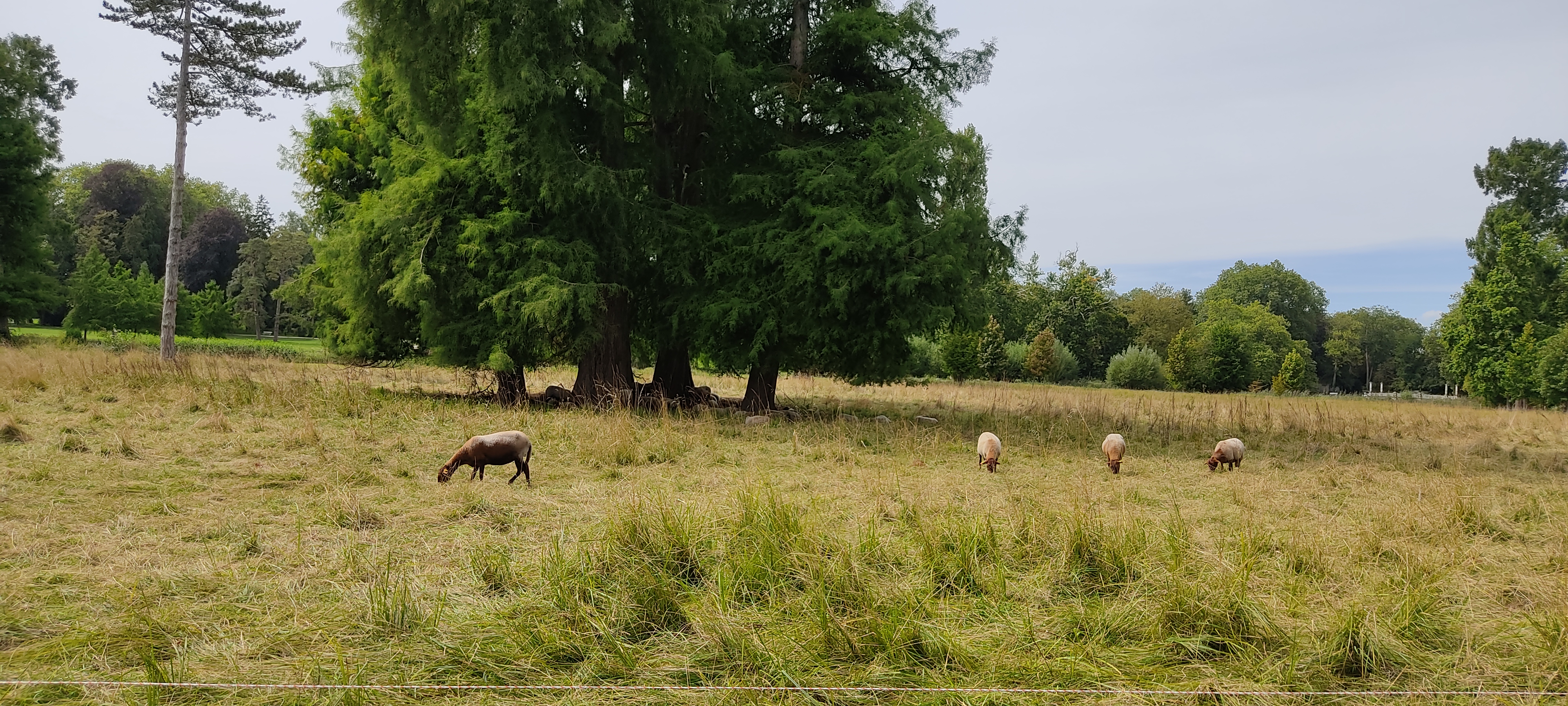Photo n° 22 de l'avis de Sofaye.o fait le 18/08/2023 à 16:20