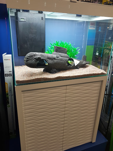 Reptile stores Rotherham