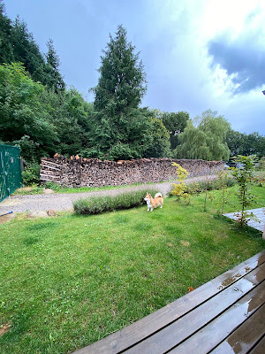 Bois de Wattwiller à Wattwiller