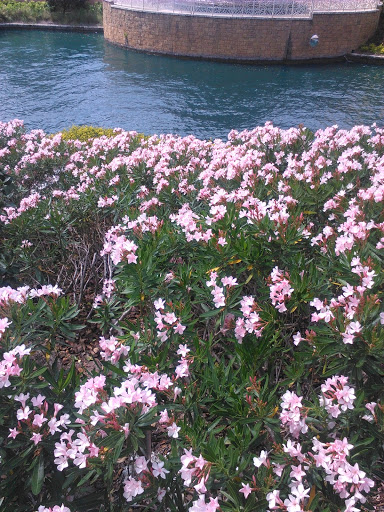 Tourist Attraction «Universal CityWalk», reviews and photos, 6000 Universal Blvd, Orlando, FL 32819, USA