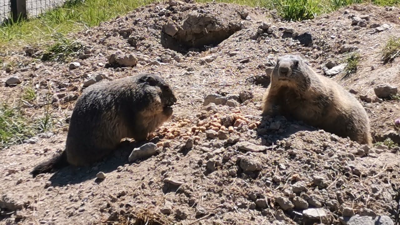 Photo n° 1 de l'avis de Wil.o fait le 06/08/2021 à 23:28