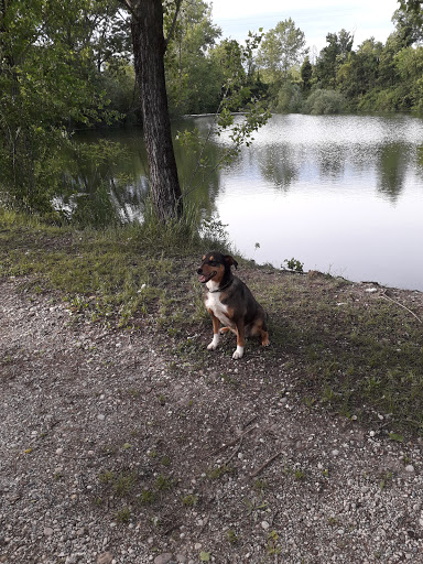 Pensioni per cani e dog hotel a Oasi Bau
