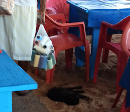 Restaurant-Bar La Esmeralda photo