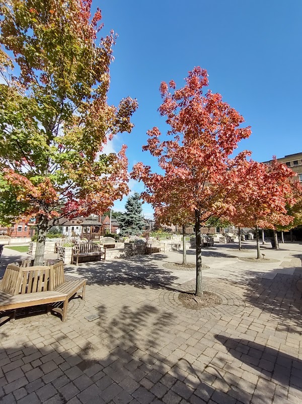 Crisis Outreach and Support Team