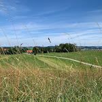 Photo n°3 de l'avis de Lars.e fait le 19/07/2020 à 22:04 sur le  ROSSO à Altusried