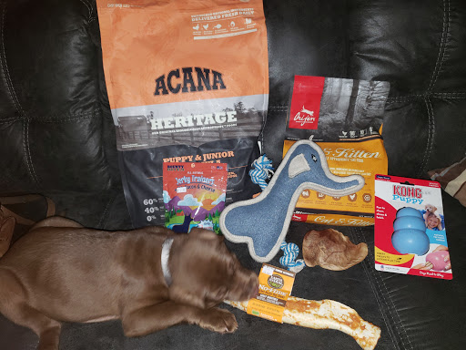 Pet Supply Store «Petagogy», reviews and photos, 5880 Ellsworth Ave, Pittsburgh, PA 15232, USA