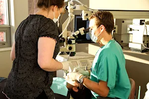 Langley Endodontics, Dr. Jason Conn Inc., Dr. Howard Bittner Inc. image