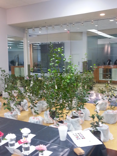 Shopping Mall «Inlet Square Mall», reviews and photos, 12125 Highway 17 Byp # A12, Murrells Inlet, SC 29576, USA