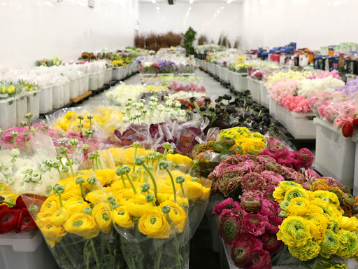Potomac Floral Wholesale, Inc.
