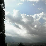 Photo n°1 de l'avis de Antonella.A fait le 08/08/2020 à 11:25 sur le  Ristorante Pizzeria da Nino à Altipiani di Arcinazzo