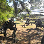 Photo n°4 de l'avis de Giuliana.e fait le 26/08/2022 à 16:32 sur le  Serre dei Giardini Margherita à Bologna