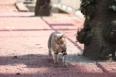 下町さくら西ひろば