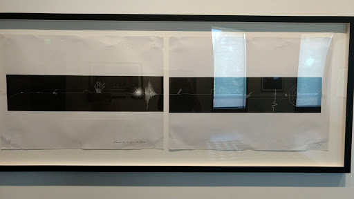 Art Museum «Jordan Schnitzer Museum of Art», reviews and photos, 1430 Johnson Lane, Eugene, OR 97403, USA