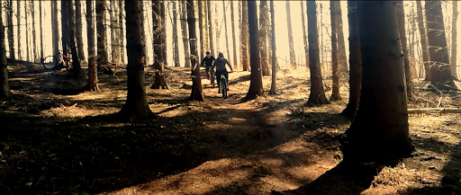 Mountainbike Spor Faksinge Skov in Præstø, Vordingborg