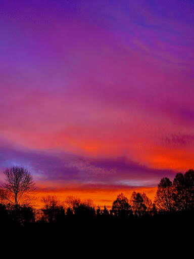 Park «Judkins Park and Playfield», reviews and photos, 2150 S Norman St, Seattle, WA 98144, USA