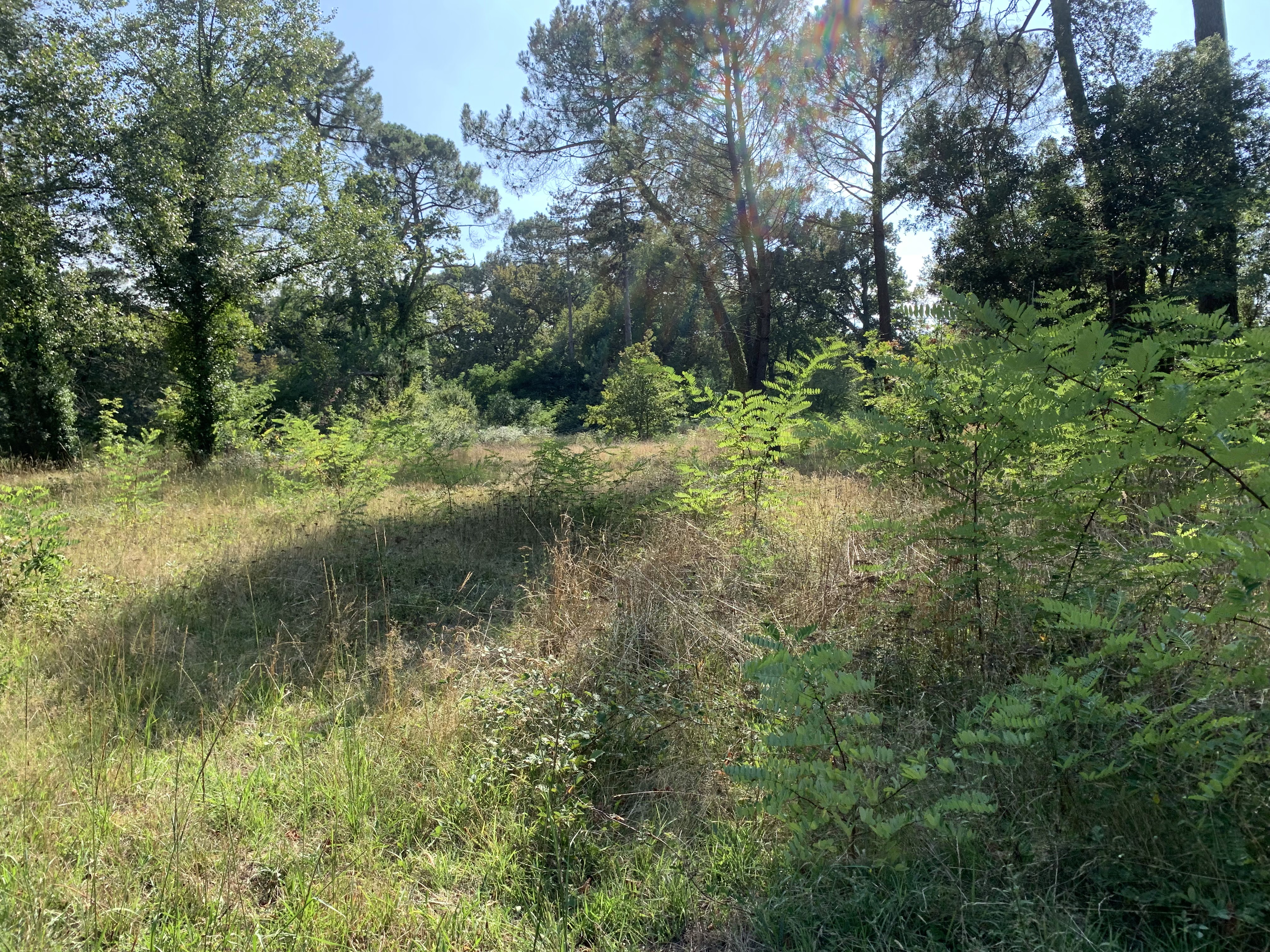 Photo n° 5 de l'avis de Esteban.R fait le 17/08/2023 à 16:46