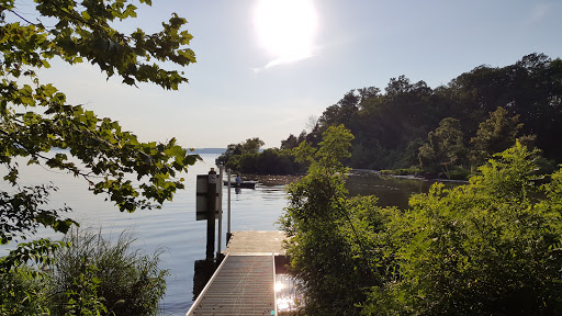 Tourist Attraction «Mallows Bay», reviews and photos, 1440 Wilson Landing Rd, Nanjemoy, MD 20662, USA